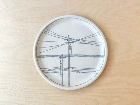 Powerlines & bird lunch plate